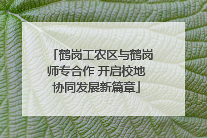 鹤岗工农区与鹤岗师专合作 开启校地协同发展新篇章