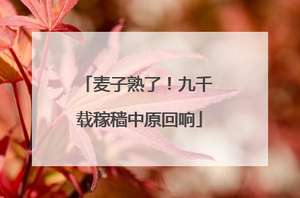 麦子熟了！九千载稼穑中原回响