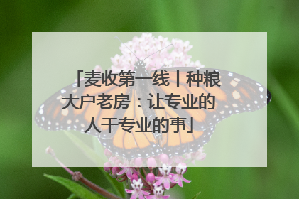 麦收第一线丨种粮大户老房：让专业的人干专业的事