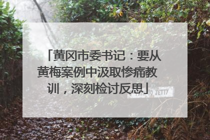 黄冈市委书记：要从黄梅案例中汲取惨痛教训，深刻检讨反思
