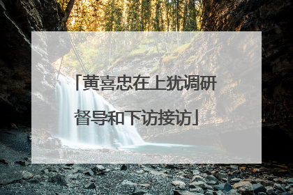 黄喜忠在上犹调研督导和下访接访