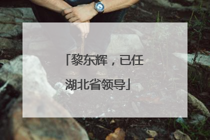 黎东辉，已任湖北省领导