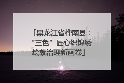 黑龙江省桦南县：“三色”匠心织锦绣 绘就治理新画卷