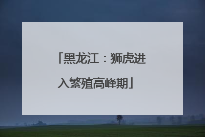 黑龙江：狮虎进入繁殖高峰期