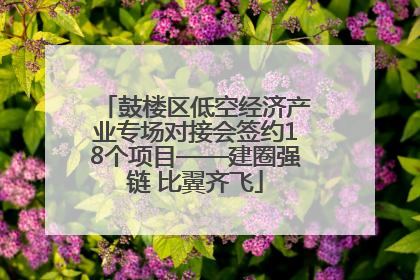 鼓楼区低空经济产业专场对接会签约18个项目——建圈强链 比翼齐飞