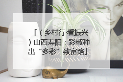 （乡村行·看振兴）山西寿阳：彩椒种出“多彩”致富路