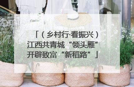 （乡村行·看振兴）江西共青城“领头雁”开辟致富“新稻路”