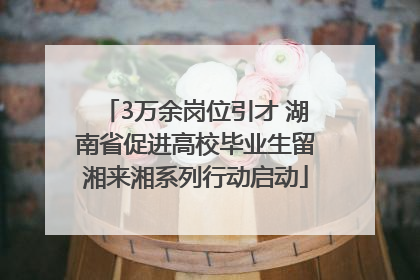 3万余岗位引才 湖南省促进高校毕业生留湘来湘系列行动启动