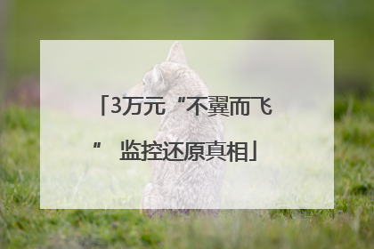 3万元“不翼而飞” 监控还原真相