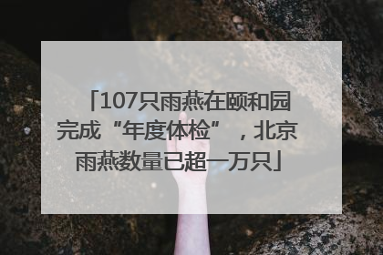 107只雨燕在颐和园完成“年度体检”，北京雨燕数量已超一万只