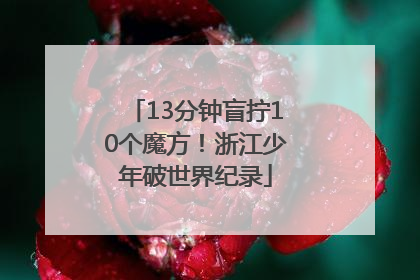13分钟盲拧10个魔方！浙江少年破世界纪录