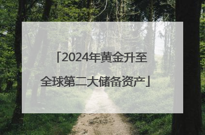 2024年黄金升至全球第二大储备资产