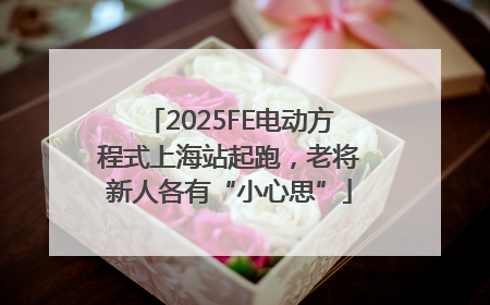 2025FE电动方程式上海站起跑，老将新人各有“小心思”