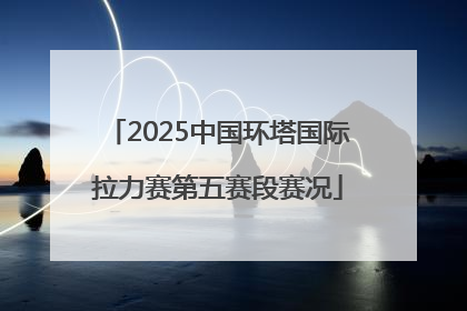 2025中国环塔国际拉力赛第五赛段赛况