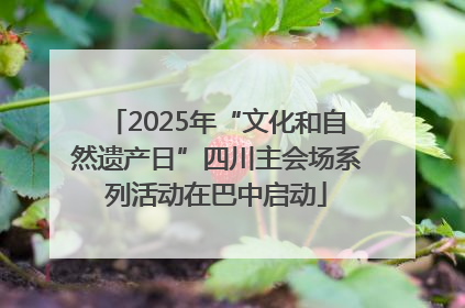 2025年“文化和自然遗产日”四川主会场系列活动在巴中启动