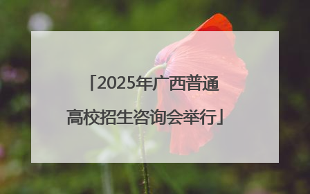 2025年广西普通高校招生咨询会举行