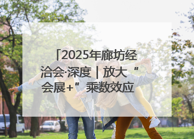 2025年廊坊经洽会·深度｜放大“会展+”乘数效应 打造消费新场景
