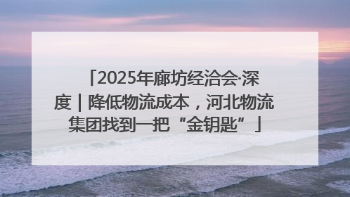 2025年廊坊经洽会·深度｜降低物流成本，河北物流集团找到一把“金钥匙”