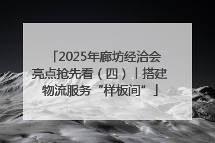 2025年廊坊经洽会亮点抢先看（四）丨搭建物流服务“样板间”