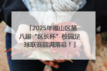 2025年福山区第八届“区长杯”校园足球联赛圆满落幕！