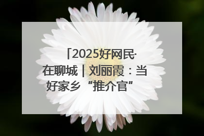 2025好网民·在聊城｜刘丽霞：当好家乡“推介官” 秀出乡村新风貌