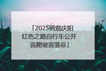 2025骑观庆阳红色之路自行车公开赛爬坡赛落幕