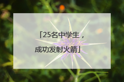 25名中学生，成功发射火箭