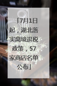 7月1日起，湖北落实离境退税政策，57家商店名单公布