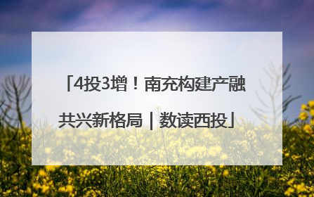 4投3增！南充构建产融共兴新格局｜数读西投