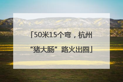 50米15个弯，杭州“猪大肠”路火出圈