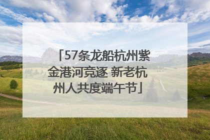 57条龙船杭州紫金港河竞逐 新老杭州人共度端午节