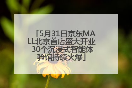 5月31日京东MALL北京首店盛大开业 30个沉浸式智能体验馆持续火爆
