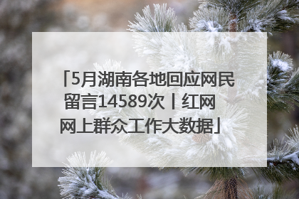 5月湖南各地回应网民留言14589次丨红网网上群众工作大数据