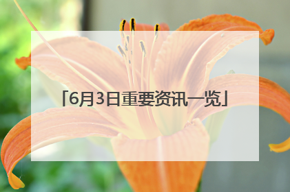6月3日重要资讯一览