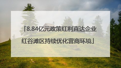 8.84亿元政策红利直达企业 红谷滩区持续优化营商环境