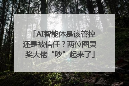 AI智能体是该管控还是被信任？两位图灵奖大佬“吵”起来了
