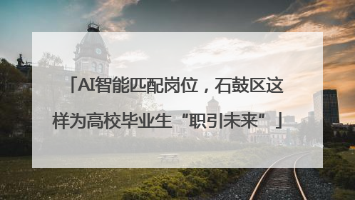 AI智能匹配岗位，石鼓区这样为高校毕业生“职引未来”