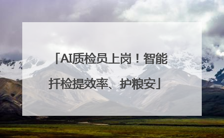 AI质检员上岗！智能扦检提效率、护粮安