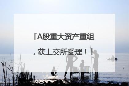 A股重大资产重组，获上交所受理！