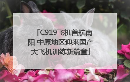 C919飞机首航南阳 中原地区迎来国产大飞机训练新篇章