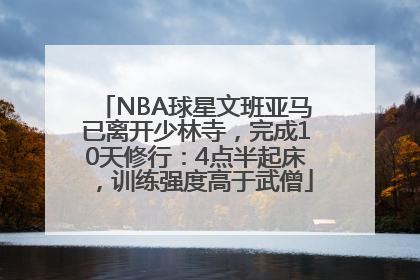 NBA球星文班亚马已离开少林寺，完成10天修行：4点半起床，训练强度高于武僧